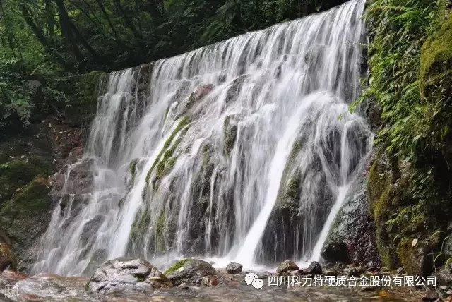 1548320302369901.jpg undefined